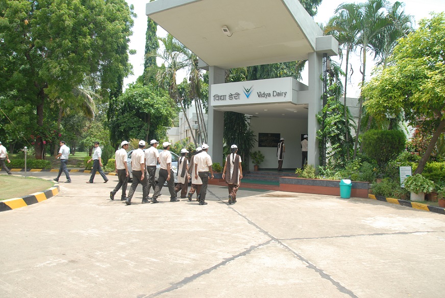 Vidya Dairy