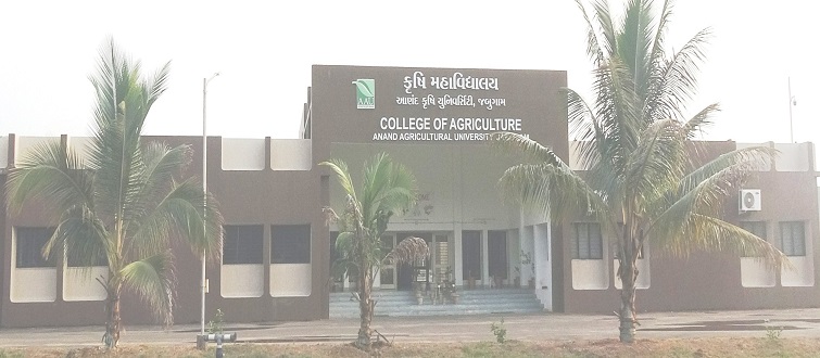 College of Agriculture, Jabugam