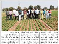 વિભાગીય સંશોધન કેન્દ્ર, આણંદ કૃષિ યુનિ. દ્વારા મગફળીની નવી જાત જીજી-૩૪નો તાલીમ કાર્યક્રમ