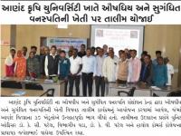 આણંદ કૃષિ યુનિવર્સિટી ખાતે ઔષધિય અને સુગંધિત વનસ્પતિની ખેતી પર તાલીમ યોજાઈ 