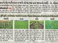 કૃષિ યુનિ. ના એક્સપર્ટ વ્યૂ 