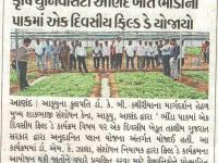 કૃષિ યુનિવર્સિટી આણંદ ખાતે ભીંડાના પાકમાં એક દિવસીય ફિલ્ડ ડે યોજાયો