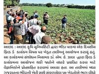 આણંદ કૃષિ યુનિ.માં ભીંડાના પાક વિશે માહિતી અપાઈ