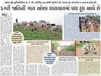આણંદ કૃષિ યુનિવર્સિટીના ડો. કે. બી. કથીરીયા દ્વારા શોધી કાઢેલી ડગરી ગાય ઓછા ઘાસચારામાં પણ દૂધ આપે છે.