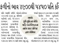 ઓક્ટોબર - નવેમ્બરમાં મગફળીનો ભાવ 4900 થી 5450 પ્રતિ કવિન્ટલ રહેવાનું તારણ  