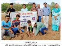 કૃષિ પોલિટેકનિક વસો ખાતે વિશ્વ પર્યાવરણ દિન તથા લાઈફ મિશન અંતર્ગત વૃક્ષારોપણ કાર્યક્રમ યોજાયો