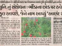 કૃષિ યુનિ.નું સંશોધન: ભીંડાના છોડ પર હવે ભીંડા નહીં ફૂલ આવશે, જેને નામ આપ્યું 'આણંદ શોભા'