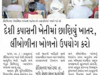 દેશી કપાસની ખેતીમાં છાણિયું ખાતર, લીંબોળીના ખોળનો ઉપયોગ કરો
