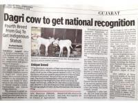 Dagri Cow to Get National Recognition