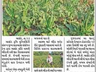 આણંદ કૃષિ યુનિવર્સિટી દ્વારા આણંદ ક્રાંતિ નામની ભીંડાની નવી જાત વિકસાવવામાં આવી