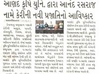 આણંદ કૃષિ યુનિ.દ્વારા આનંદ રસરાજ નામે કેરીની નવી પ્રજાતિનો આવિષ્કાર