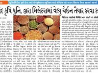 આણંદ કૃષિ યુનિ. દ્વારા મિલેટસમાં વેલ્યુ ચેઇન તૈયાર કરવા કવાયત