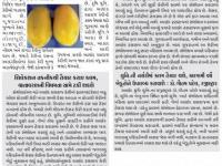 આણંદ કૃષિ યુનિ.એ વિકસાવેલ 'આણંદ રસરાજ' કેરીની કલમને તમામ યુનિ. રીસર્ચ-રાજ્ય સ્ટેટ સીડ કમિટીની મંજૂરી