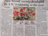 New 'bhindi' variety developed by AAU is satiating to the eyes!