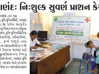 આણંદ: નિ:શુલ્ક સુવર્ણ પ્રાશન કેમ્પ