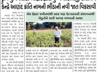 કૃષિ યુનિવર્સિટી આણંદ દ્વારા મુખ્ય શાકભાજી સંશોધન કેન્દ્રે આણંદ ક્રાંતિ નામની ભીંડાની નવી જાત વિકસાવી 