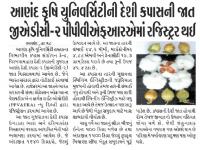 આણંદ કૃષિ યુનિવર્સિટીની દેશી કપાસની જાત જીએડીસી-2 પીપીવીએફઆરએમાં રજીસ્ટર થઇ
