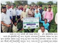 શાકભાજી સંશોધન કેન્દ્ર દ્વારા ભીંડા પાક ઉપર ફિલ્ડ ડે યોજાયો