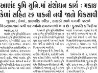 આણંદ કૃષિ યુનિ.માં સંશોધન કાર્ય : મકાઇ કેળાં સહિત ૨૬ પાકની નવી જાતો વિકસાવી