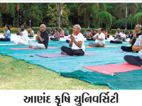 આણંદ કૃષિ યુનિવર્સિટી માં વિશ્વ યોગ દિવસની ઉજવણી