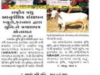આણંદ કૃષિ યુનિ. દ્વારા પંજીકરણ કરાયેલ ગાયની નવી પ્રજાતિ 'ડગરી' ને NBAGR દ્વારા માન્યતા