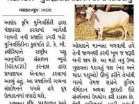 આણંદ કૃષિ યુનિ. એ પંજીકૃત કરેલી ડગરી ગાયને માન્યતા