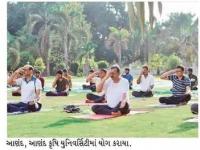 આણંદ કૃષિ યુનિવર્સિટીમાં યોગ