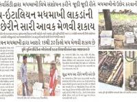 આણંદ કૃષિ યુનિવર્સીટી દ્વારા મધમાખી વિશે સંશોધન