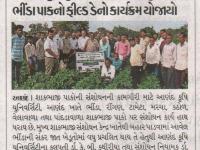 આણંદ કૃષિ યુનિવર્સિટી દ્વારા રામપુરા ખાતે ભીંડા પાકનો ફીલ્ડ ડેનો કાર્યક્રમ યોજાયો