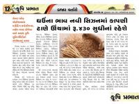 સેન્ટર ફોર માર્કેટ ઇન્ટેલિજન્સ-આણંદ કૃષિ યુનિવર્સિટી દ્વારા ઘઉંના ભાવ કાપણી ટાણે રૂ. 430 રહેવાની સંભાવના 