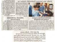 વેટરીનરી કોલેજ ખાતે પ્રાણીઓને ફિઝીયોથેરાપી સારવાર