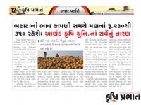 સેન્ટર ફોર માર્કેટ ઇન્ટેલિજન્સ - આણંદ કૃષિ યુનિવર્સિટી દ્વારા બટાટાના ભાવ કાપણી સમયે મણના રૂ. 230 થી 350 રહેવાની સંભાવના