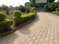 Before safai Abhiyan