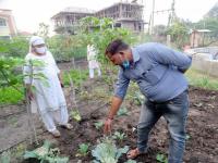 Diagnostic in Kitchen Garden
