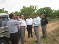 Farm Visited By Hon. Vice chancellors &  University Officers