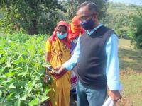 Field Visit