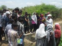 Field Visit
