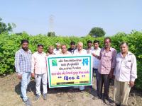 Field day at Kandari