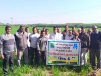 Field day at Bavaliya