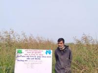FLD on Pigeon pea (AGT 2)