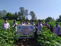 Field day at Khandha