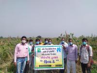 Field day at Nana Habipura under adaptive trial project