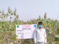 FLD on Castor (GAC 11) under adaptive trial project