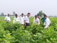 Experiment monitoring team visited on Dated 12/10/2021