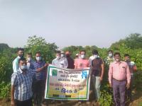 Field day at Kurali