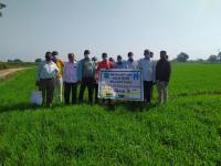 Field day at Vemar