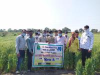 Field day at Khandha