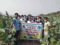 Field day at Karmadi Under Adaptive Trial Project
