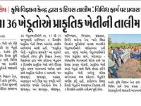 MP ના 36 ખેડૂતોએ પ્રાકૃતિક ખેતીની તાલીમ મેળવી 