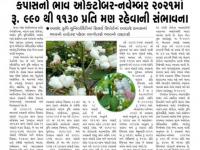 કપાસનો ભાવ ઓક્ટોબર - નવેમ્બર 2021માં રૂ. 990 - 1130 પ્રતિ મણ રહેવાની સંભાવના